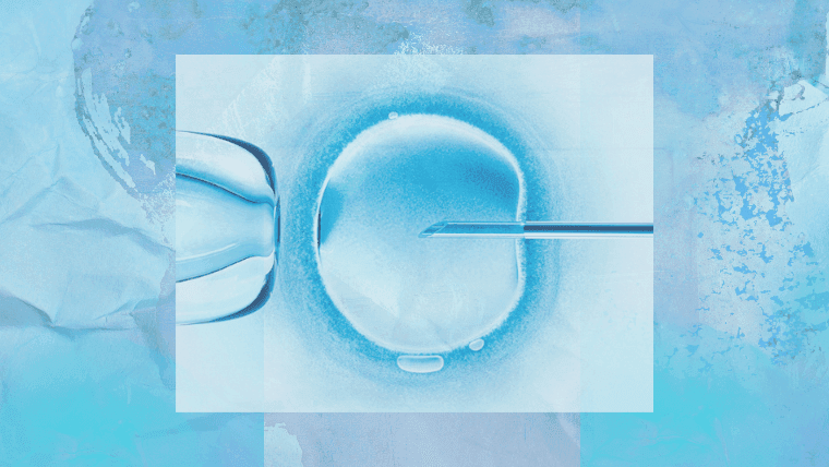Conseils rapides sur la fertilité queer   cover image